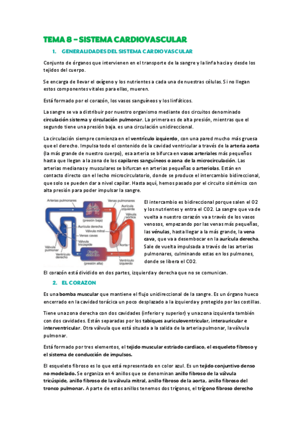 Miniatura del documento TEMA-8-Sistema-cardiovascular.pdf
