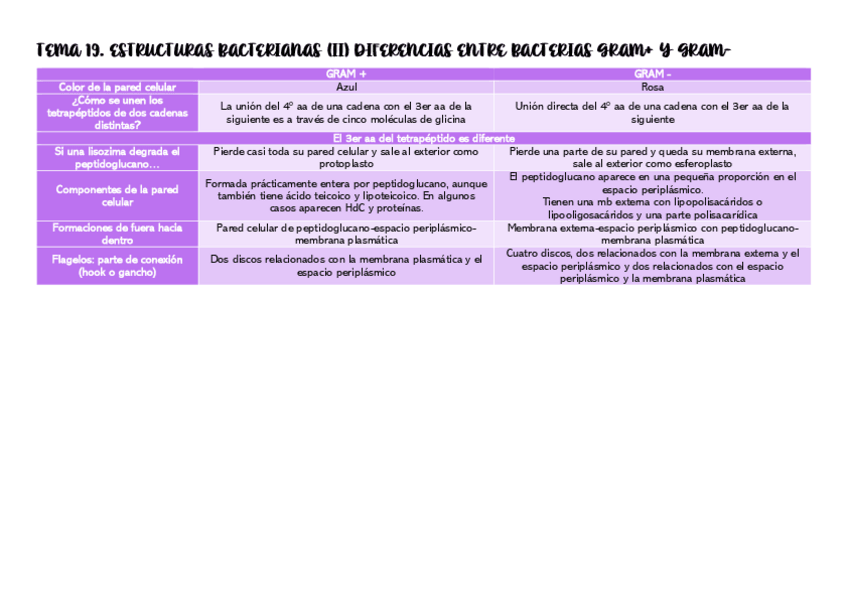 Miniatura del documento Tabla-diferencias-Gram-y-Gram-.pdf