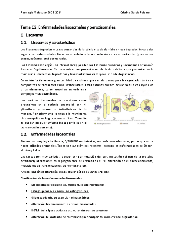Miniatura del documento Tema 12 patología.pdf