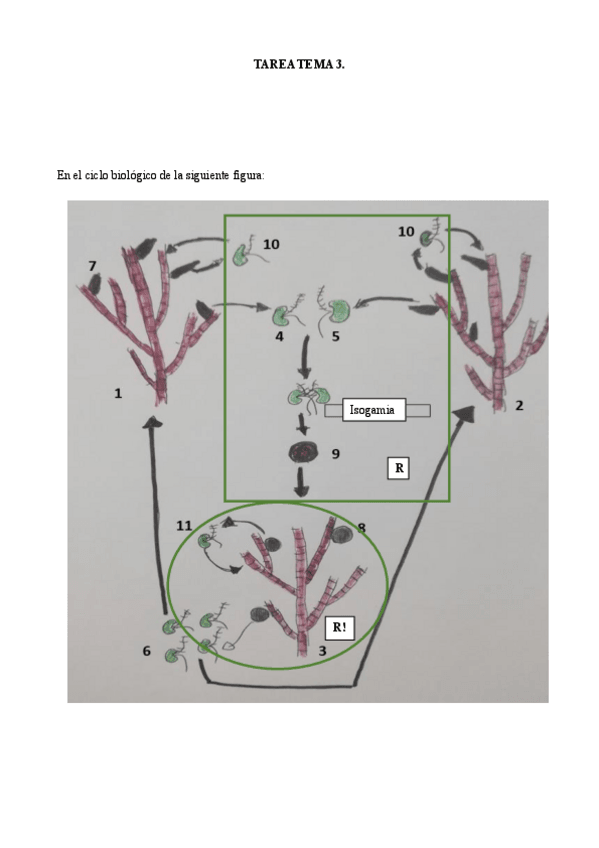 Miniatura del documento Tarea-3.pdf