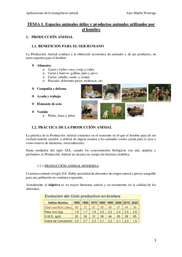 Miniatura del documento APUNTES.pdf