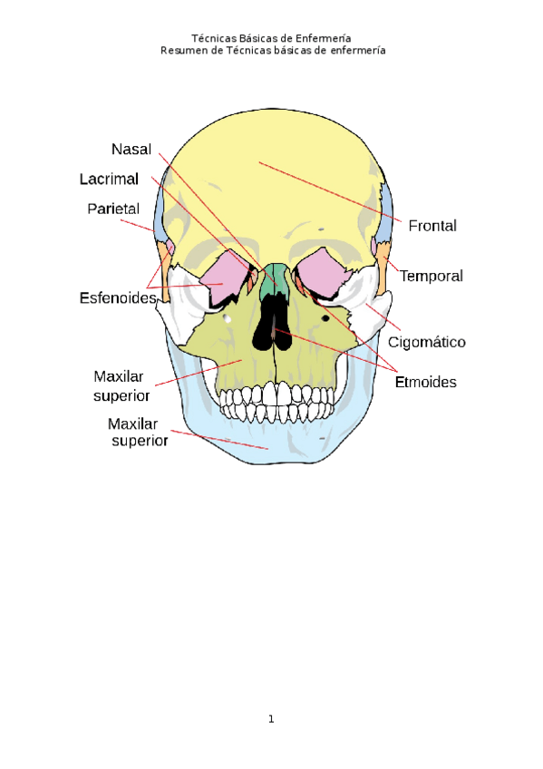 Miniatura del documento Esquemas-Tecnicas-Basicas-Enfermeria.docx