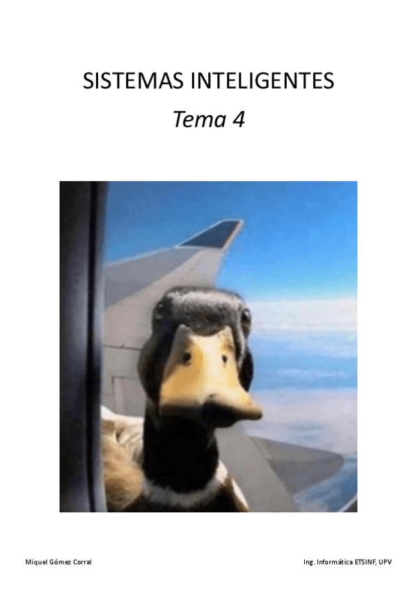 Miniatura del documento SIN-Tema-4.pdf