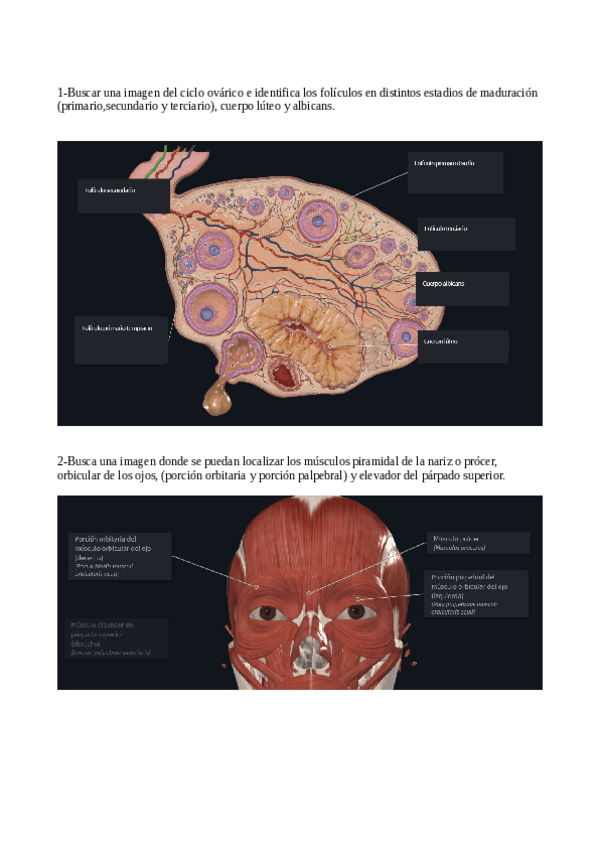 Miniatura del documento Practica-de-ordenadores-1.pdf
