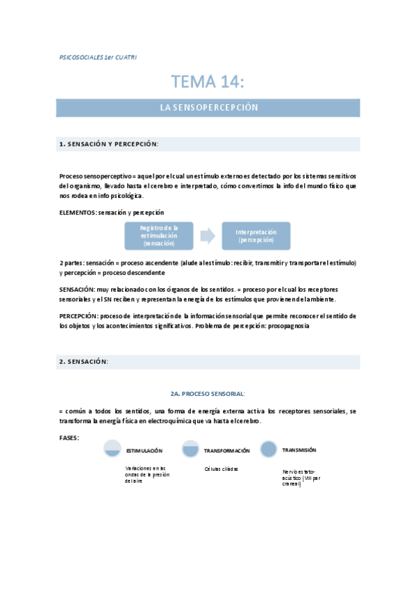 Miniatura del documento PSICOSOCIALES (Tema 14 - La sensopercepcion).pdf
