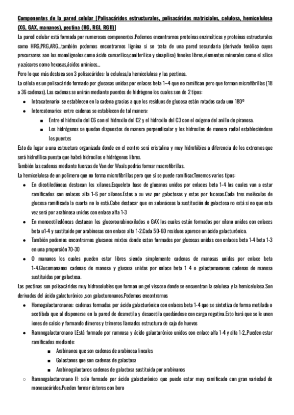 Miniatura del documento Preguntas-de-examenes.pdf