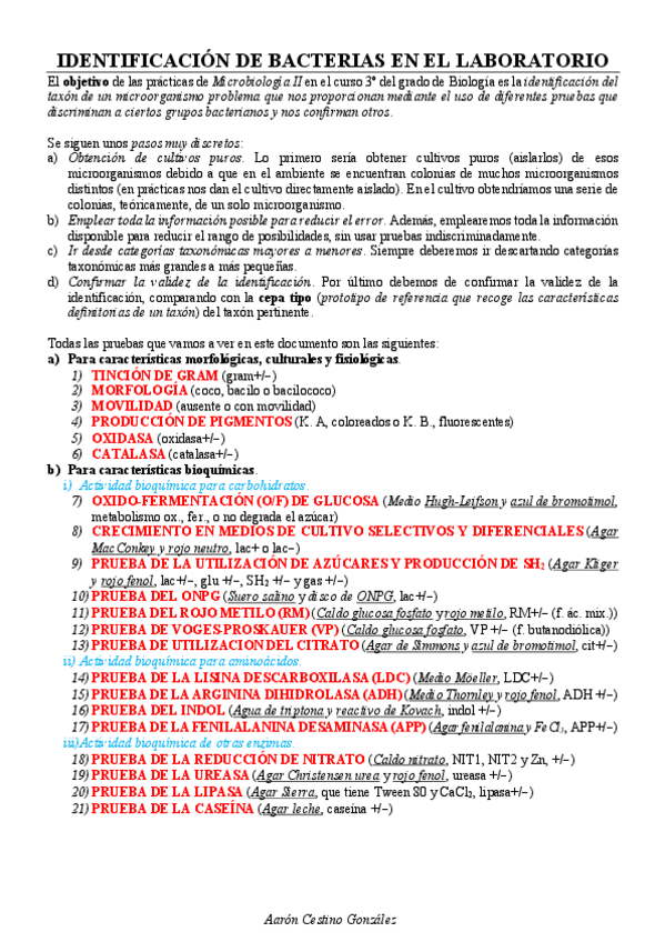 Miniatura del documento IDENTIFICACION-DE-BACTERIAS-Practicas.pdf