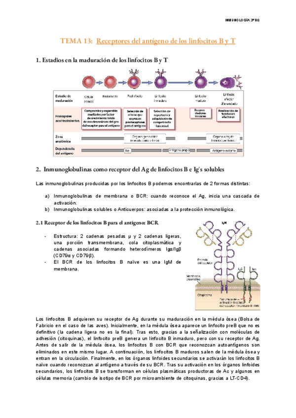 Miniatura del documento TEMA-13-Inmunologia.pdf