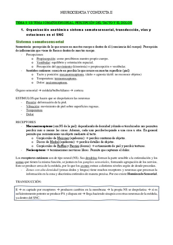 Miniatura del documento T.3-5-NEURO-II.pdf