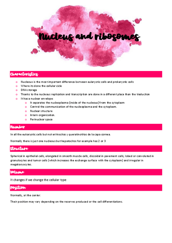 Miniatura del documento chapter-8-apuntes.pdf