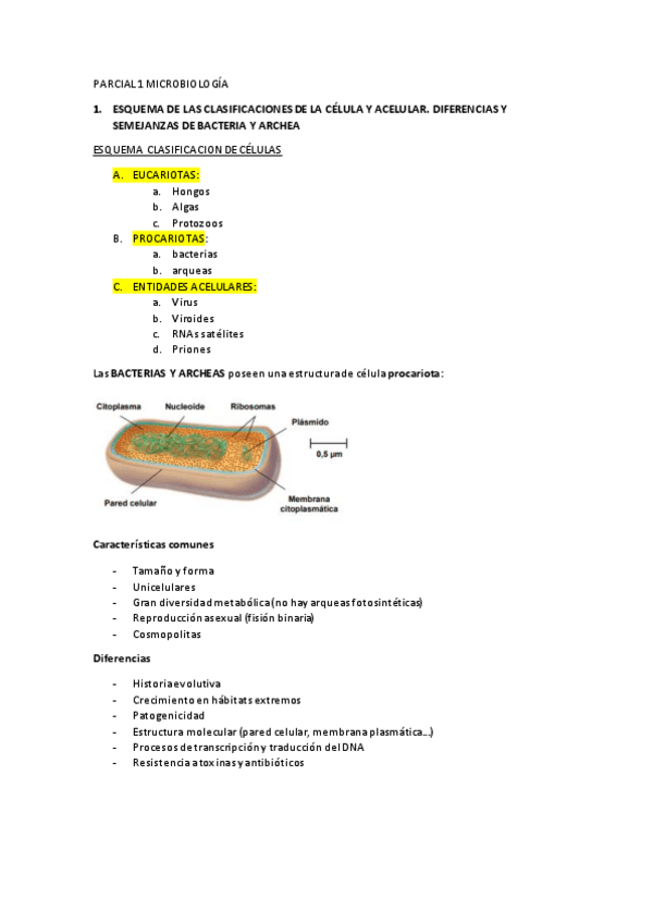 Miniatura del documento PARCIAL-1-RESUELTO.pdf