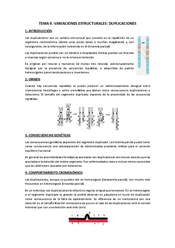 Miniatura del documento Tema 9.-Duplicaciones.pdf