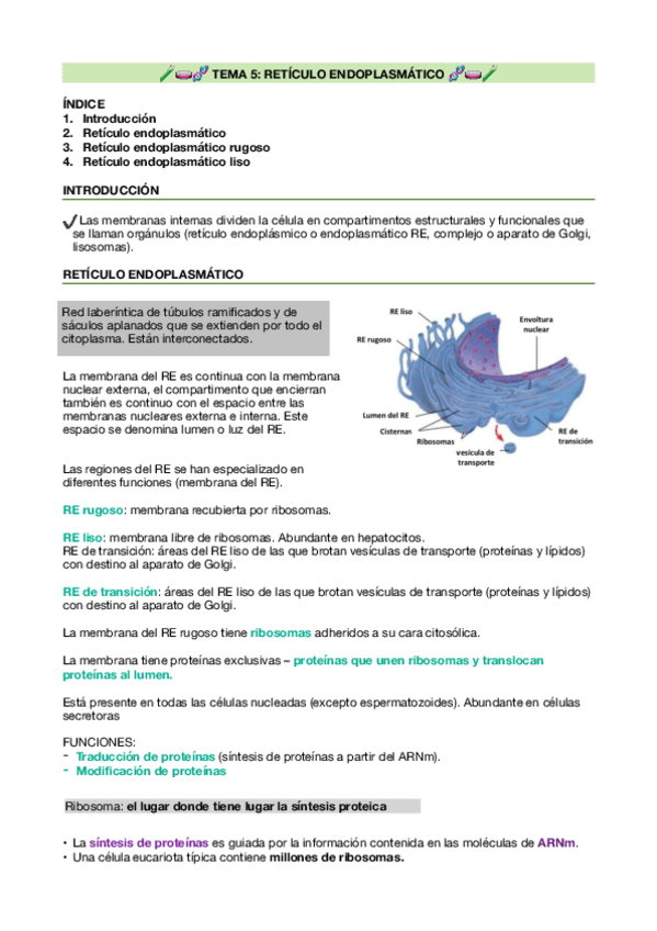 Miniatura del documento Biologia-T.5.pdf
