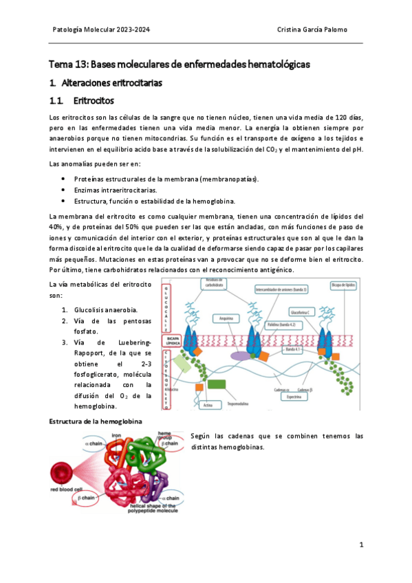 Miniatura del documento Tema 13 patología.pdf