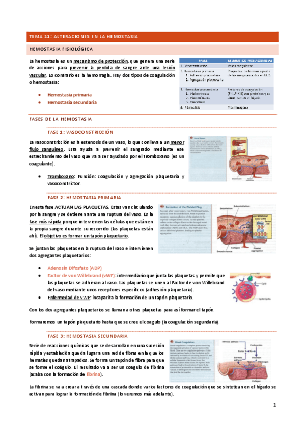 Miniatura del documento Tema-11.pdf