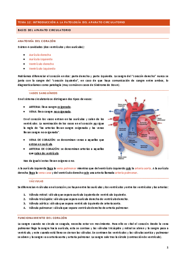 Miniatura del documento Tema-12.pdf