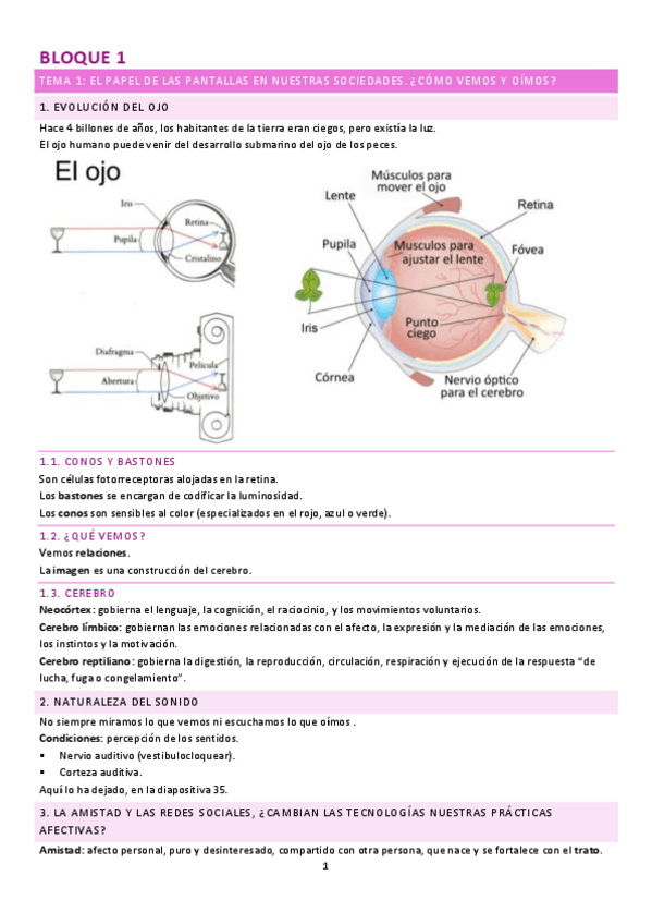 Miniatura del documento bloque-1.pdf
