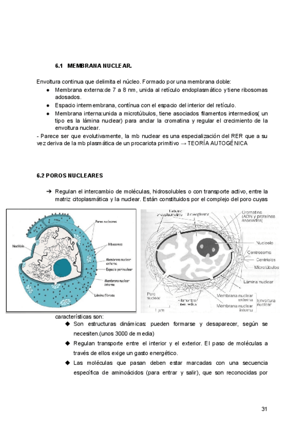 Miniatura del documento ud-2-el-nivel-celular-parte-4-de-5.pdf