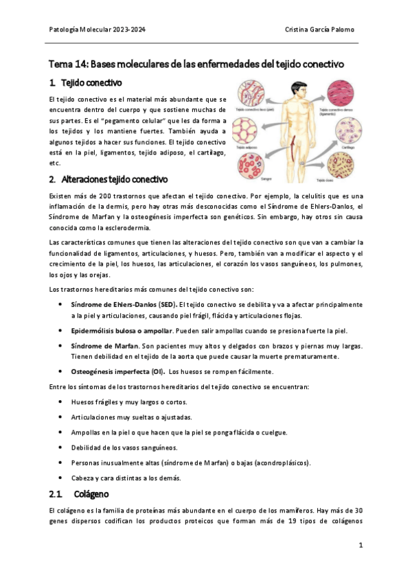 Miniatura del documento Tema 14 patología.pdf