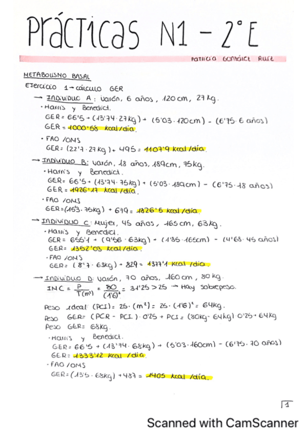 Miniatura del documento Guion-de-Practicas.pdf