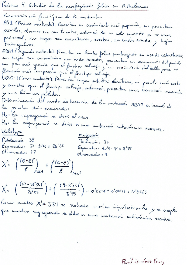 Miniatura del documento Practica-4.pdf