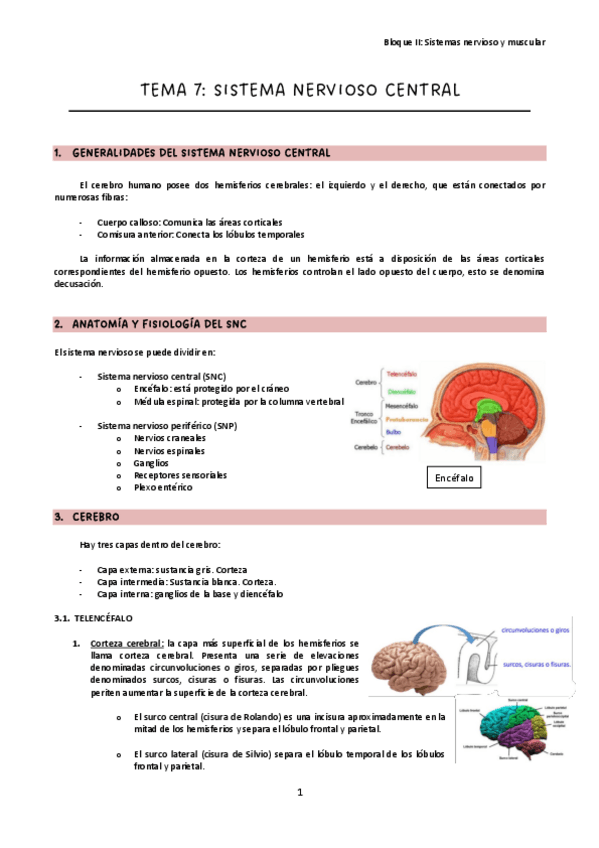 Miniatura del documento Tema-7.pdf