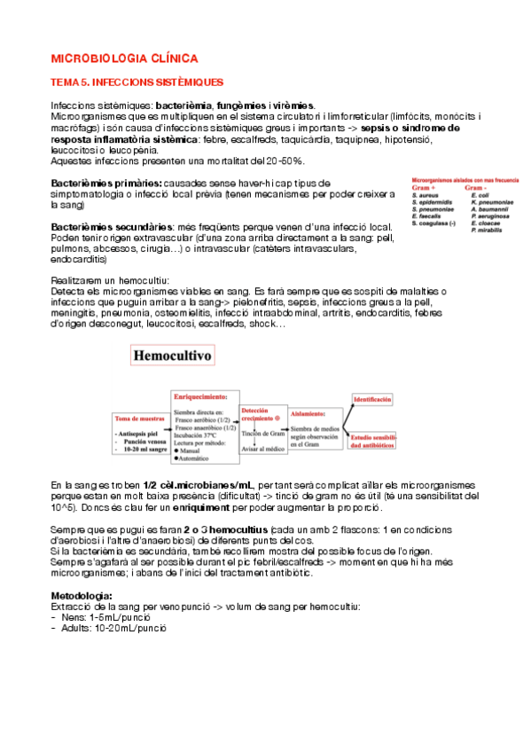 Miniatura del documento Tema-5-COMPLET-curs-2324.pdf