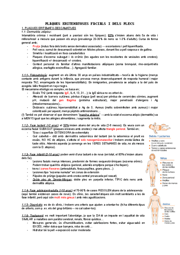 Miniatura del documento Plaques-facials--plecs-T9.pdf