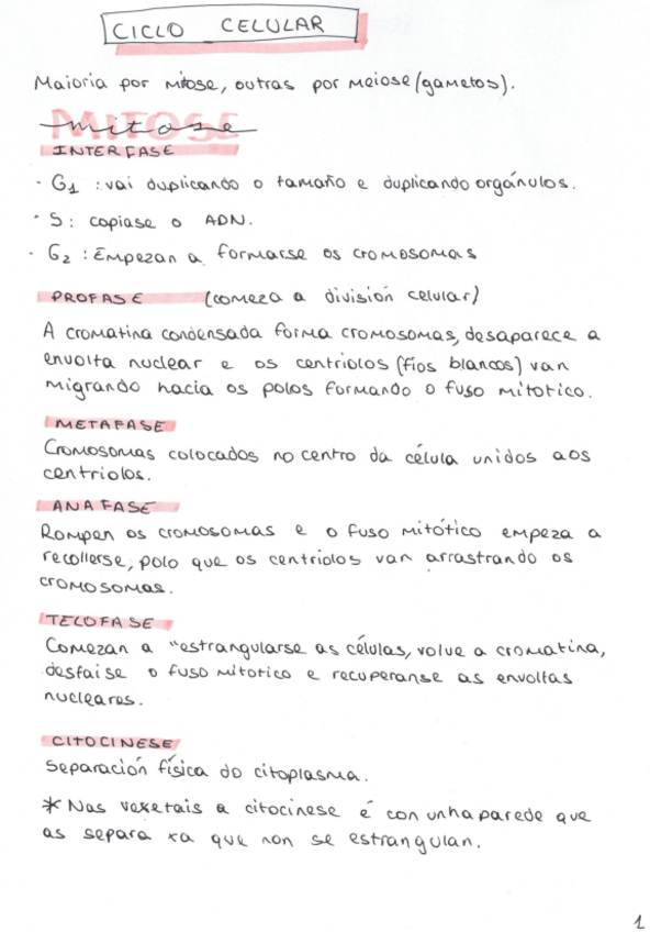 Miniatura del documento bio-mitose-e-meiose.pdf