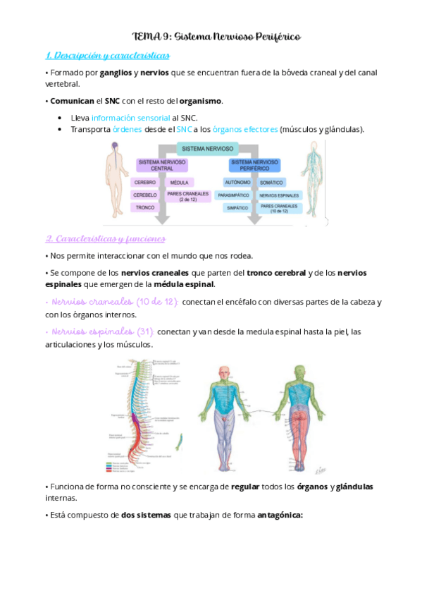 Miniatura del documento PSICOBIOLOGIA-II-TEMA-9.pdf