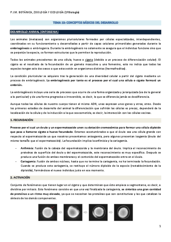 Miniatura del documento Tema 10. Conceptos Básicos del Desarrollo..pdf