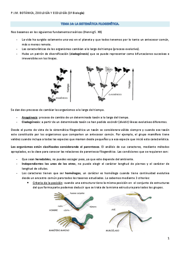 Miniatura del documento Tema 14. La Sistemática Filogenética..pdf