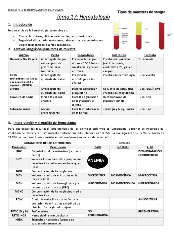 Miniatura del documento Sangre.pdf