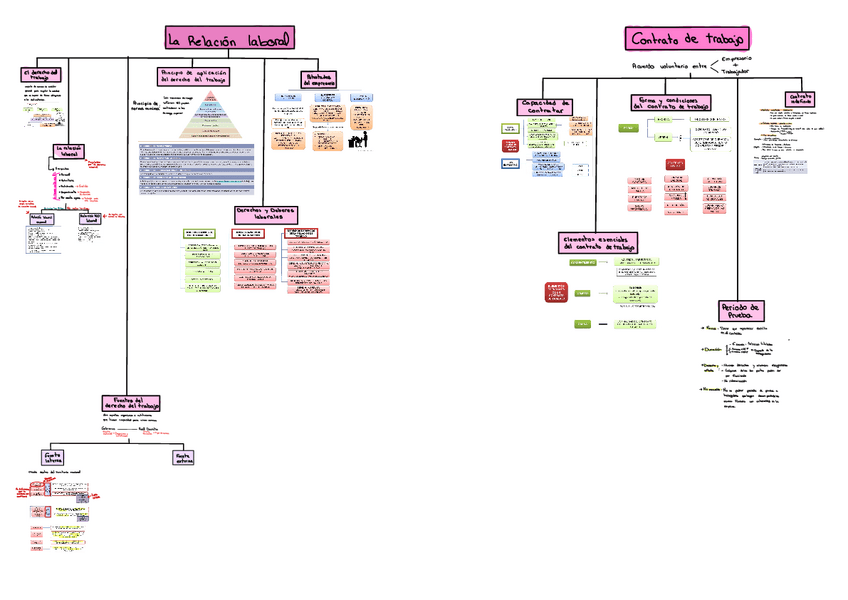Miniatura del documento Tema-12--relacion-laboral-y-contratos-de-trabajo.pdf