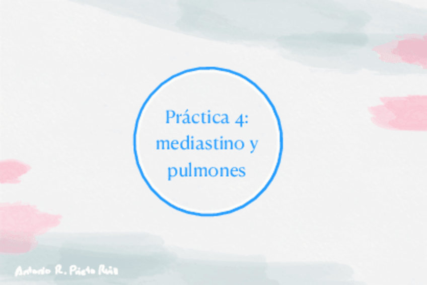 Miniatura del documento Practica-4-mediastino-y-pulmones.pdf