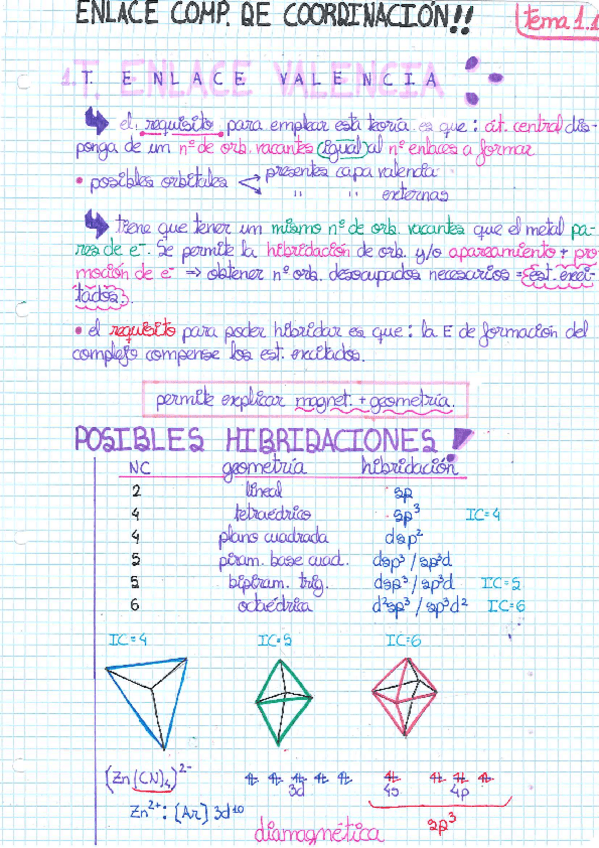 Miniatura del documento ApuntesParte1David.pdf