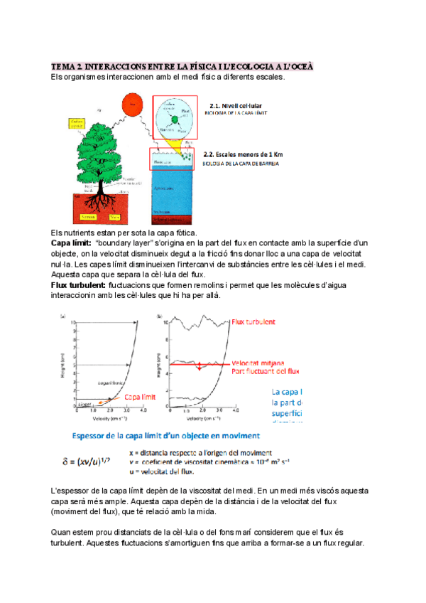 Miniatura del documento TEMA-2-TOTS-APARTATS-QUESTIONARI.pdf