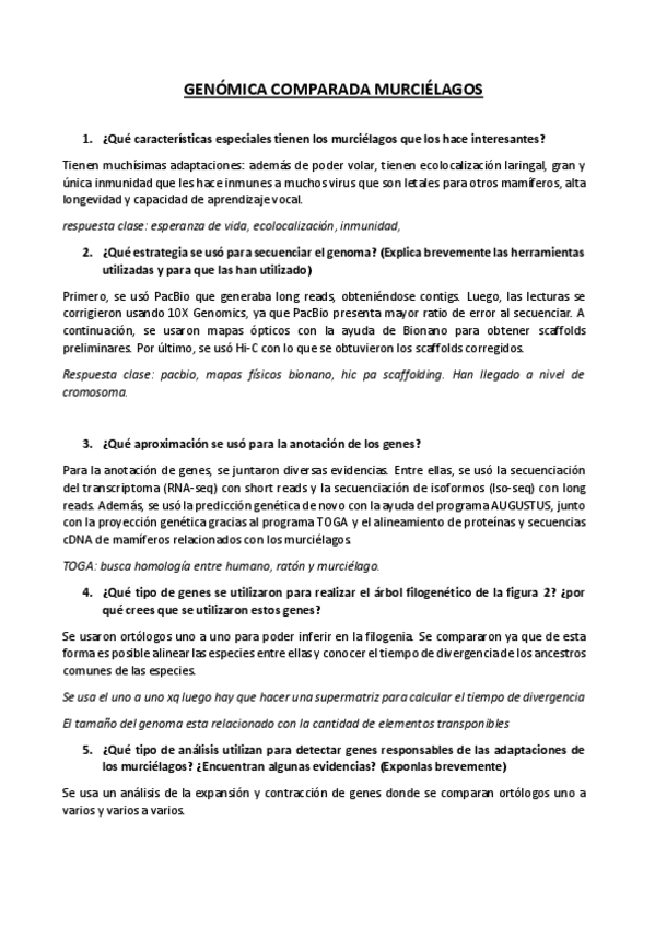 Miniatura del documento sixBatspreguntas.pdf