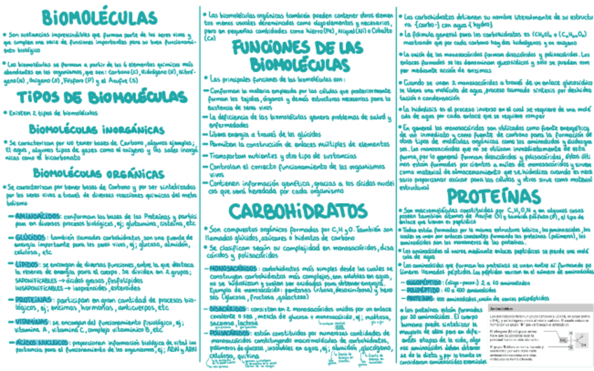 Miniatura del documento Biomoleculas.pdf