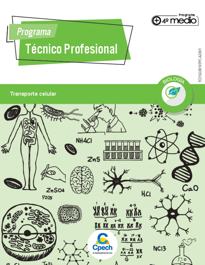 Miniatura del documento TRANSPORTE-CELULAR.pdf