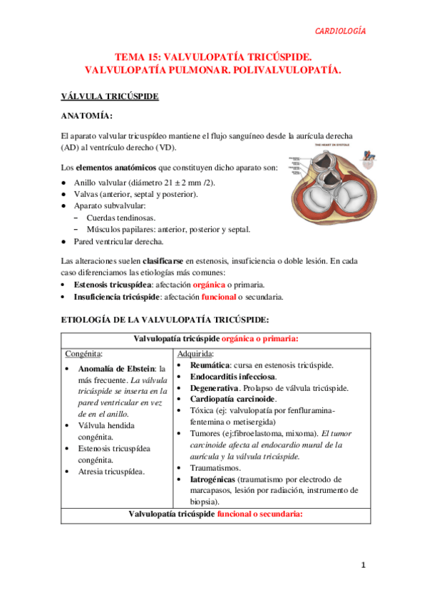 Miniatura del documento Tema-14.-Valvulopatia-tricuspide-y-pulmonar.pdf