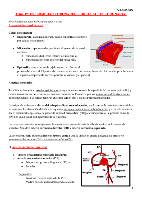 Miniatura del documento Tema-18.-Enfermedad-coronaria.-Introduccion.pdf