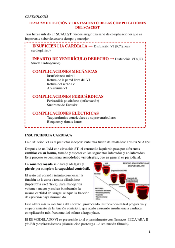 Miniatura del documento Tema-22.-Deteccion-y-manejo-de-las-complicaciones-del-SCASEST.pdf