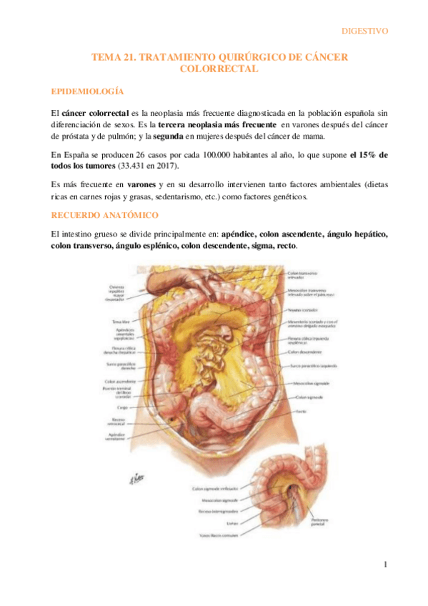 Miniatura del documento T21.-Tratamiento-quirurgico-del-cancer-colorrectal.pdf