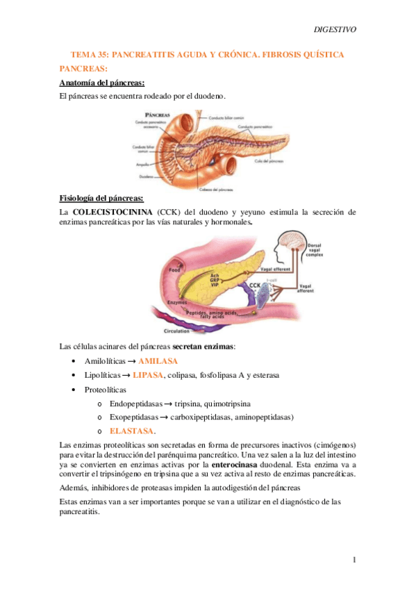 Miniatura del documento T35-Pancreatitis-aguda-y-cronica.-Fibrosis-quistica1.pdf