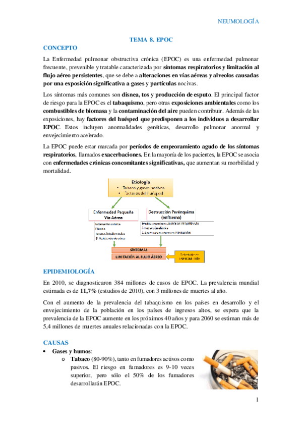 Miniatura del documento T8-EPOC.pdf
