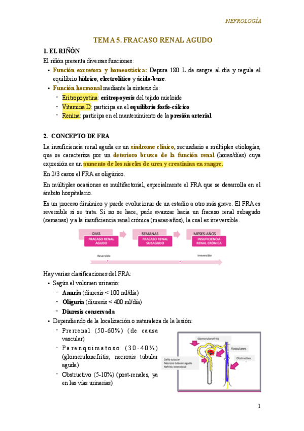 Miniatura del documento Tema-5.-Fracaso-renal-agudo.pdf