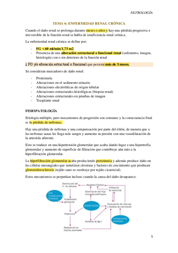 Miniatura del documento Tema-6.-Enfermedad-renal-cronica.pdf
