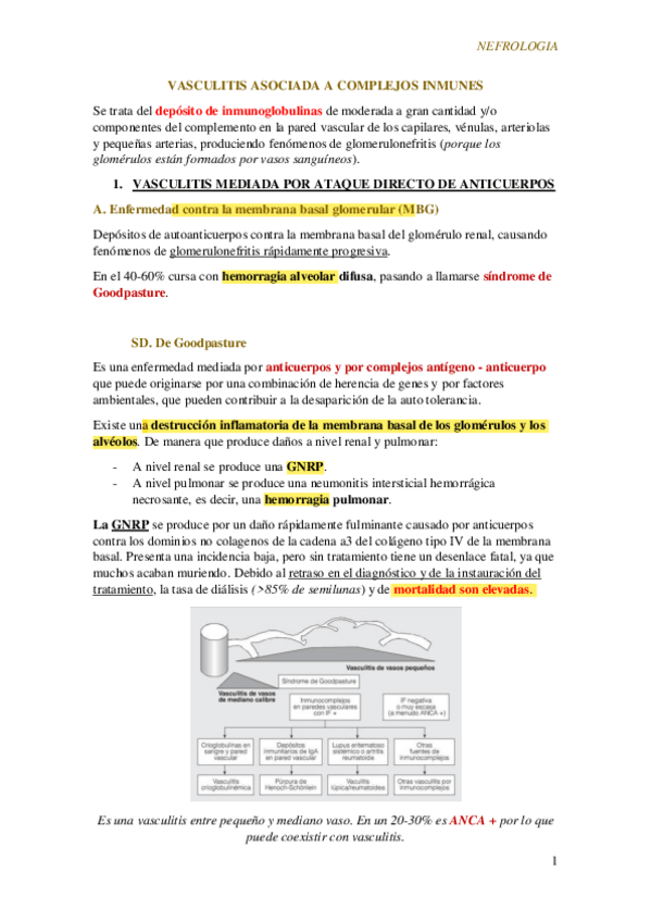 Miniatura del documento Tema-13.-Enfermedades-Multisistemicas-De-Causa-Inmune-2.pdf