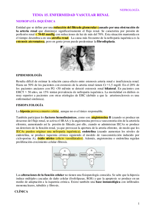 Miniatura del documento Tema-15.-Enfermedad-vascular-renal.pdf
